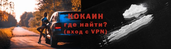 шишки Балахна