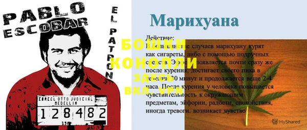 шишки Балахна