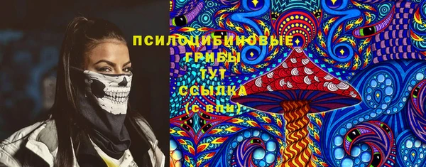 стаф Краснослободск