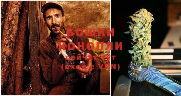 шишки Балахна